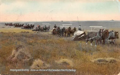 CDN Scene on the Line of the Canadian Pacific Railway gl1910 188.306