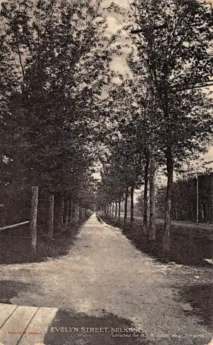 CDN Selkirk Evelyn Street gl1908 188.308