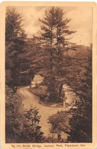 CDN Peterboro By the Brook Bridge, Jackson Park gl1911 188.322