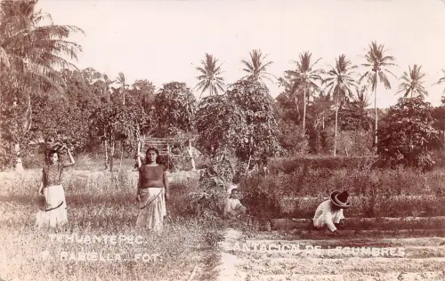 Mex Tehuantepec Antacion de Legumbres Fotokarte ngl 188.384