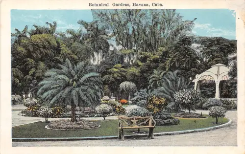 CUB Havana Botanical Gardens ngl 188.450