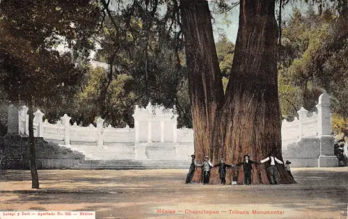 Mex Chapultepec Tribuna Monumental ngl 188.484