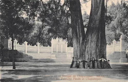 Mex Chapultepec La Glorieta en el Bosque de ngl 188.486