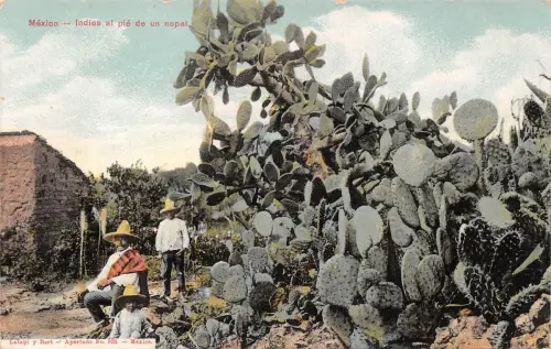 Mex Indios al pie de un nopal ngl 188.481