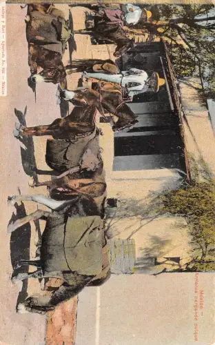 Mex Arrieros cargando pulque ngl 188.571