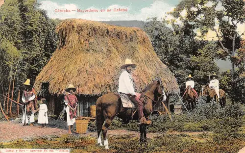 Mex Cordoba Mayordomo en un Cafetal ngl 188.586