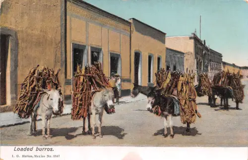 Mex Loaded burros ngl 188.601