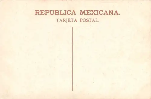 Mex Loaded burros ngl 188.601