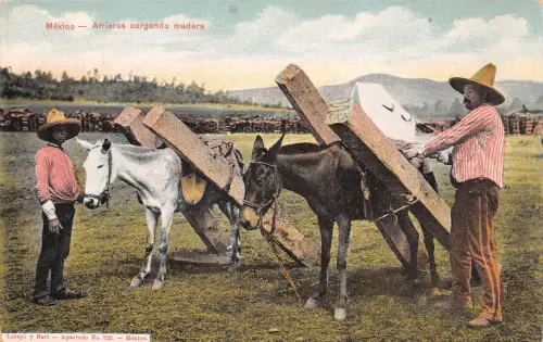 Mex Arrieros cargando madera ngl 188.602