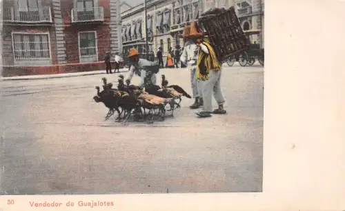 Mex Vendedor de Guajalotes ngl 188.608