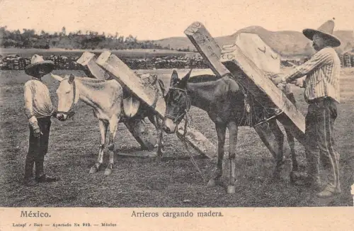 Mex Arrieros cargando madera ngl 188.605