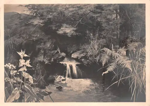 HDK 397 Willy Kriegel Die Quelle gl1943 188.654