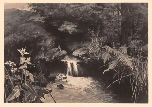 HDK 397 Willy Kriegel Die Quelle ngl 188.664