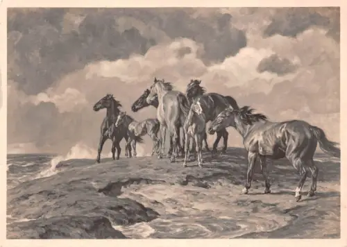 HDK 440 Alfred Rolloff, Vom Wasser bedrängt ngl 188.652