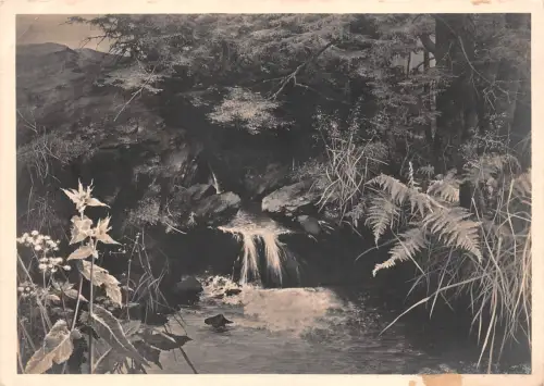 HDK 397 Willy Kriegel Die Quelle ngl 188.663