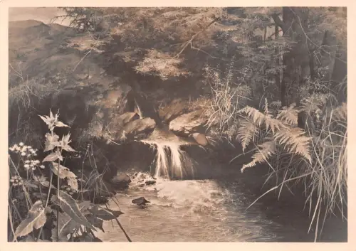 HDK 397 Willy Kriegel Die Quelle ngl 188.655