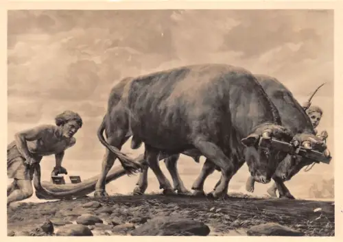 HDK 562 F. Staeger, Germannische Urbarmachung ngl 188.653