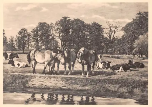 HDK 548 Willy Tag, Viehweide an der Röder ngl 188.651