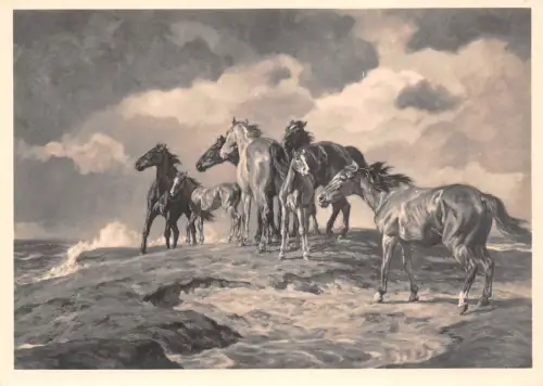 HDK 440 Alfred Rolloff, Vom Wasser bedrängt ngl 188.690