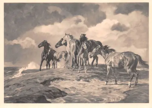 HDK 440 Alfred Rolloff, Vom Wasser bedrängt ngl 188.675