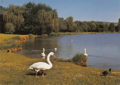 Bad König Partie am See ngl 188.738