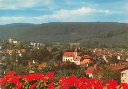 Bad König Panorama ngl 188.737