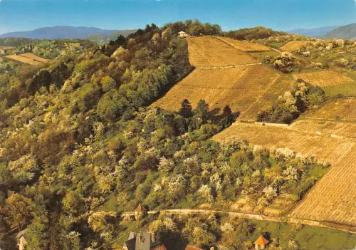 Bensheim a.d.B. Kirchberghäuschen Archivkarte Metz-Verlag ngl 188.748