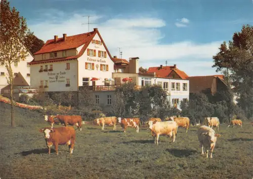 Lindenfels-Winterkasten Gasthaus "Zur Traube" ngl 188.769