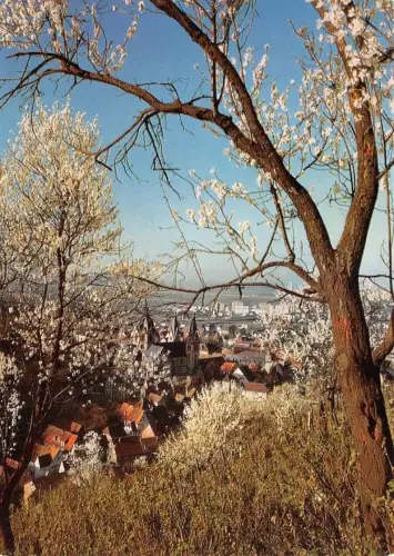 Heppenheim a.d.B.Panorama ngl 188.794