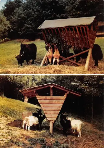 Fürth i. Odw., Bergtierpark Erlenbach Mehrbildkarte ngl 188.818