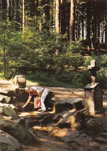 Gras-Ellenbach i. Odw. Hotel Siegfriedbrunnen Archivkarte Metz-Verlag ngl 188.810