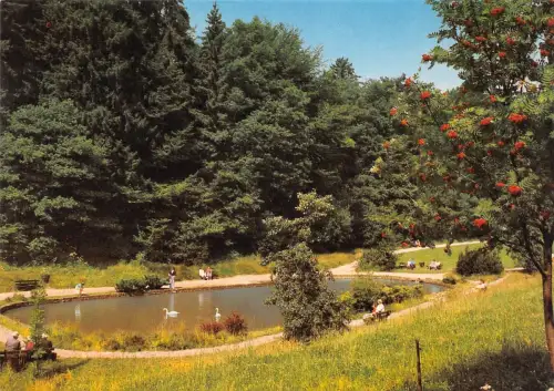 Gras-Ellenbach i. Odw. Hotel "Gassbachtal" ngl 188.821