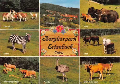 Fürth i. Odw., Bergtierpark Erlenbach Mehrbildkarte ngl 188.820