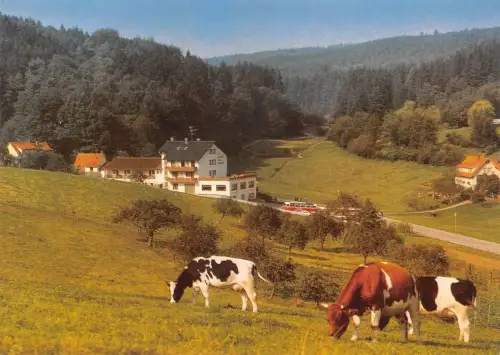 Gras-Ellenbach i. Odw. Hotel "Gassbachtal" ngl 188.825