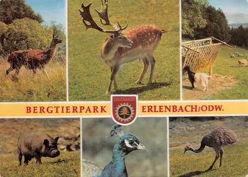 Fürth i. Odw., Bergtierpark Erlenbach Mehrbildkarte ngl 188.819