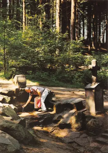 Gras-Ellenbach i. Odw. Hotel "Gassbachtal" ngl 188.822