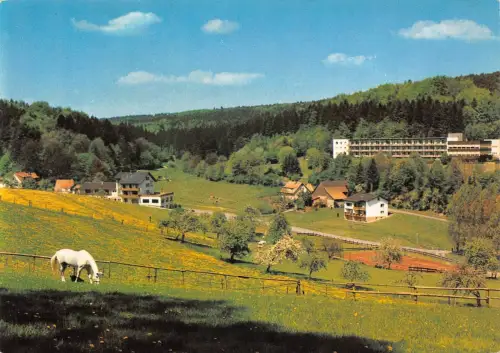 Gras-Ellenbach i. Odw. Pension Waldeck Archivkarte Metz-Verlag ngl 188.834