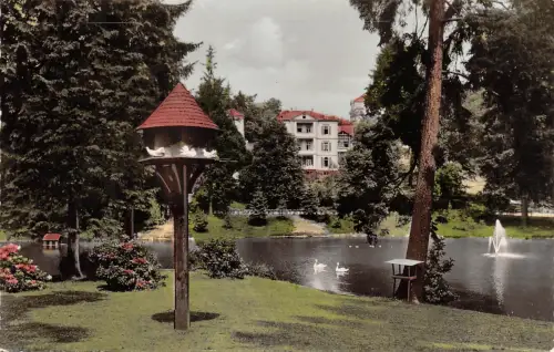 Bad Schwalbach i.T. Partie im Kurgarten gl1960 188.846