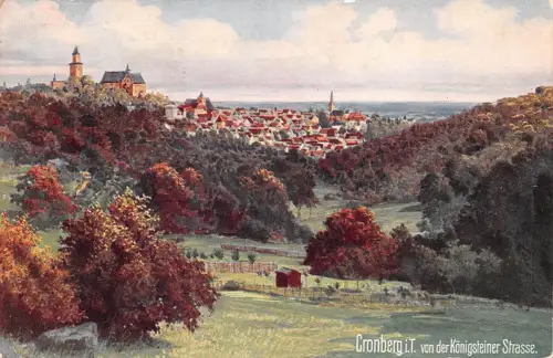 Cronberg i.T. Panorama Künstlerkarte gl1942 188.868