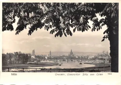 Dresden Elbansicht Blick von Osten ngl 189.118