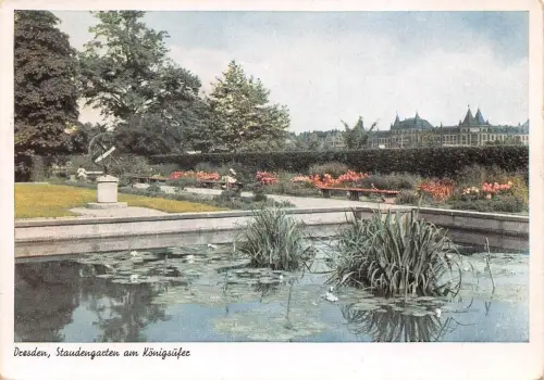 Dresden Staudengarten am Königsufer ngl 189.132