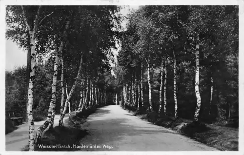 Dresden-Weißer Hirsch Heidemühlen Weg gl1934 189.156