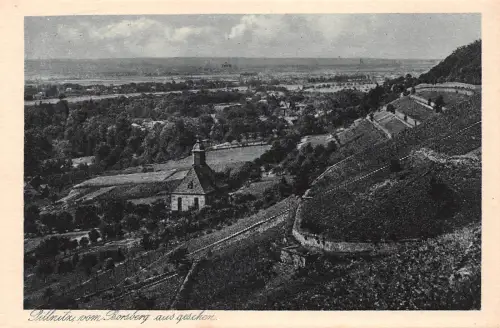 Dresden-Pillnitz vom Borsberg aus gesehen ngl 189.215
