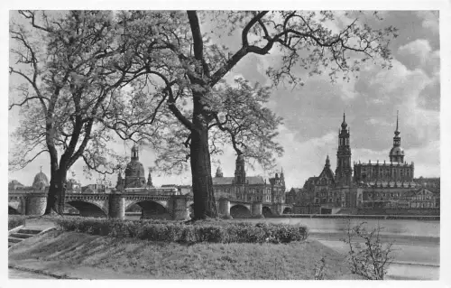 Dresden Blick vom Königsufer ngl 189.333