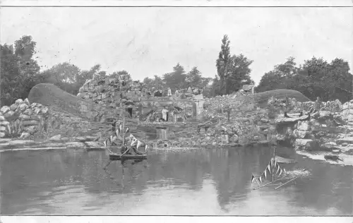Dresden Zoo Felsenpanorama für Löwen, Tiger,… ngl 189.364