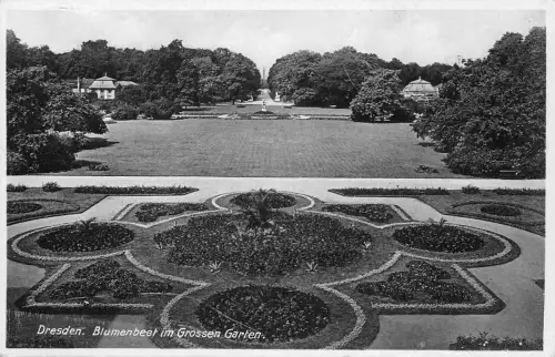 Dresden Blumenbeet im Großen Garten ngl 189.520