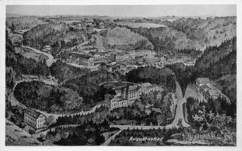 Augustusbad Panorama Künstlerkarte sign. ngl 189.816