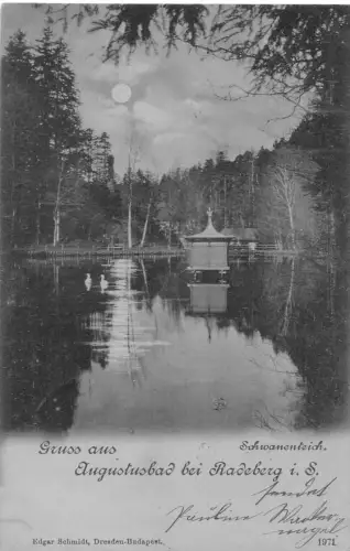 Augustusbad Schwanenteich Mondscheinlitho gl 189.826