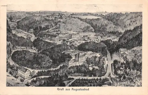 Augustusbad Panorama Künstlerkarte sign. gl1924 189.821