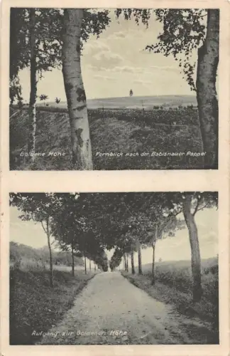 Hänichen Goldene Höhe gl 189.861